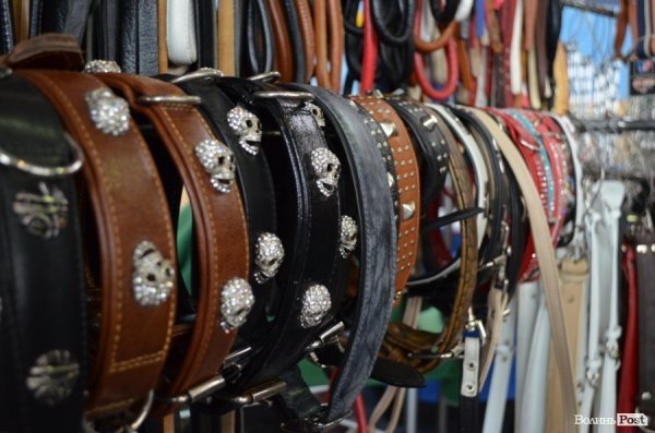 У Луцьку ‒ виставка собак. ФОТО