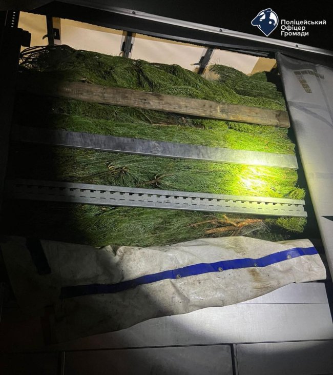 На Волині спіймали вантажівку із ялинками без документів. ФОТО