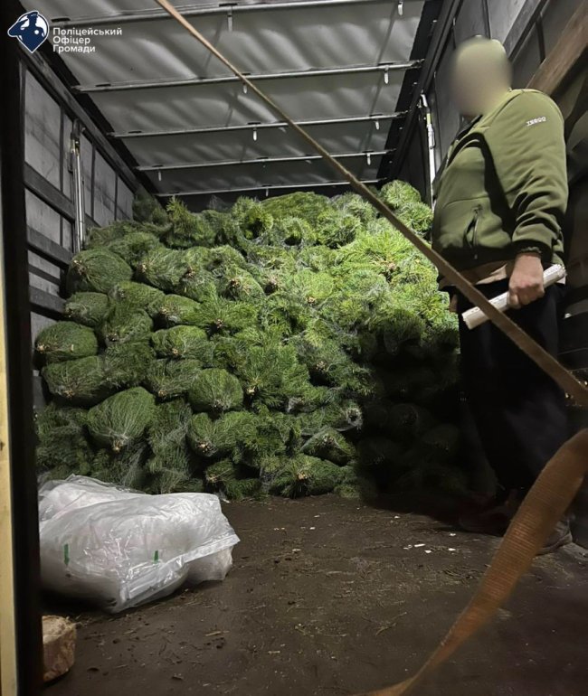 На Волині спіймали вантажівку із ялинками без документів. ФОТО