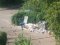 Лучани «здали» муніципалам сусіда, який викинув у дворі будівельне сміття. ФОТО