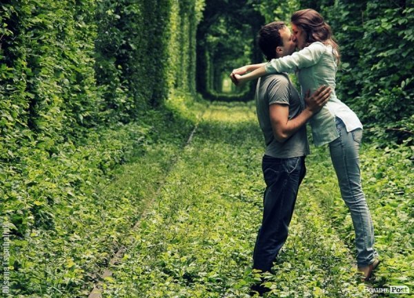 Згадуване в тексті фото з Тунелю кохання 