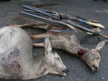 У Словаччині розстріляли закарпатських браконьєрів
