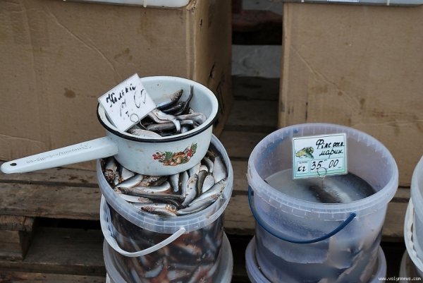 Луцьк ярмаркував. ФОТО