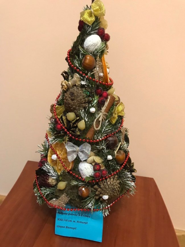 Новорічна еко-ялинка: на Волині для дітей організували конкурс. ФОТО