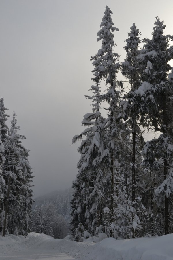 Фотовиставка Ольги Кошелєвої