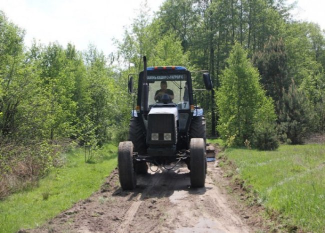 Людям доводиться роз’яснювати, що ліс є державним ресурсом,  – волинські лісівники