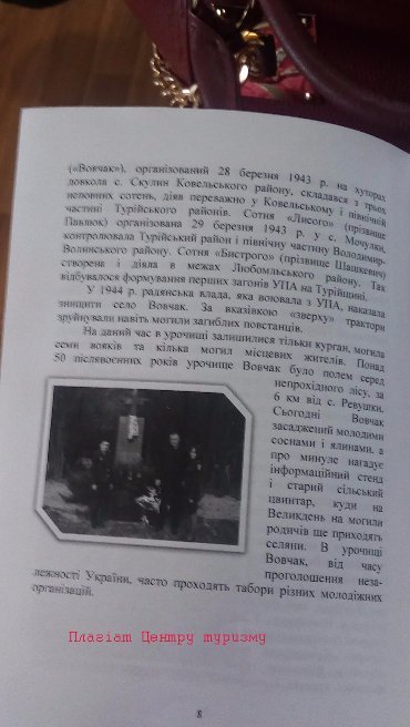 Волинський центр туризму звинуватили в плагіаті