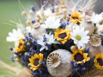 Свято Маковея: що святити на Медовий Спас