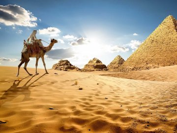 Єгипет не визнає українські COVID-сертифікати: пояснили причину