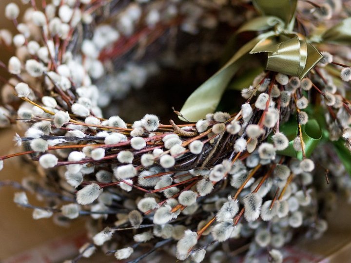 За тиждень – Великдень: сьогодні віряни святкують Вербну неділю