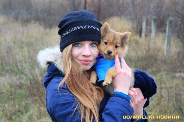 У Луцьку закрили сезон стрибків з труби заввишки 50 метрів. ФОТО