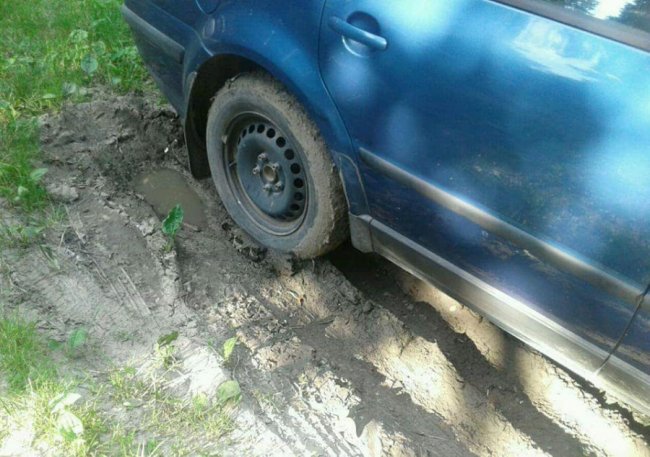 У Луцьку автохами паркують свої автівки на траві. ФОТО