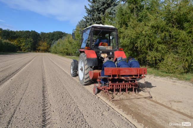 «Засіємо жолудем 16 гектарів»: волинські лісівники розпочали сіяти дуби. ФОТО