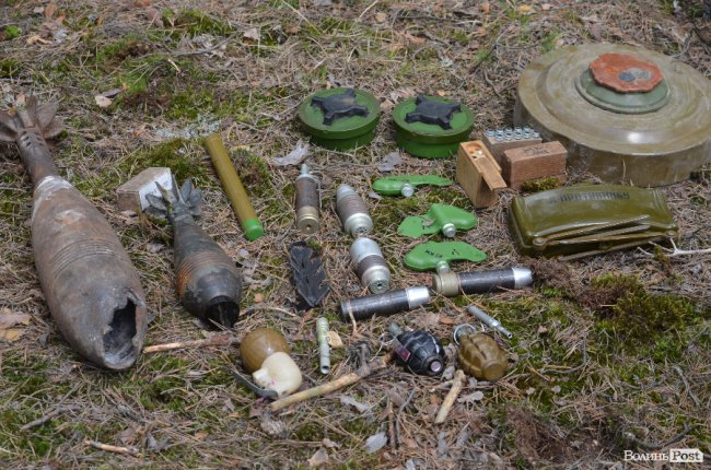 Війна у лісах Волині: підготовка загонів тероборони