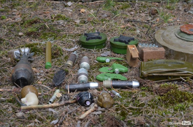 Війна у лісах Волині: підготовка загонів тероборони