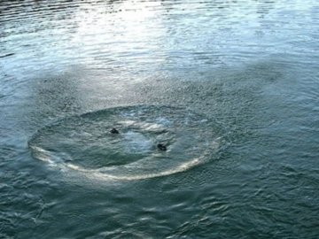 В озері на Львівщині потонув 20-річний хлопець