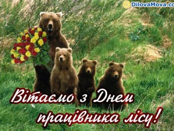 Волинський депутат оригінально привітав лісівників із професійним святом