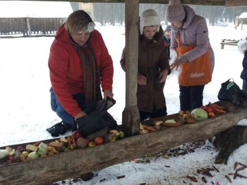 Учні луцької школи підгодовували диких тварин. ФОТО