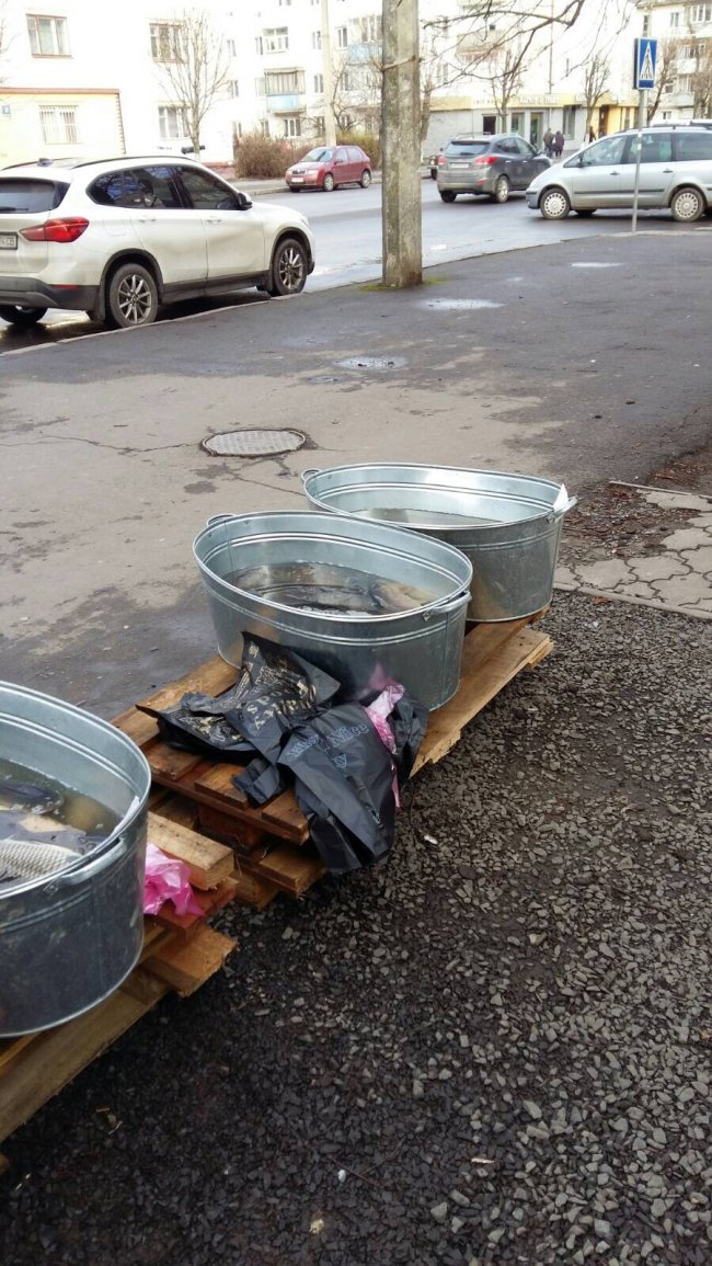 На ринках Луцька продавали «незаконну» рибу. ФОТО