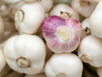 «Не уподібнюйтесь дикунам»: доктор Комаровський розповів, чи врятують цибуля та часник від вірусів