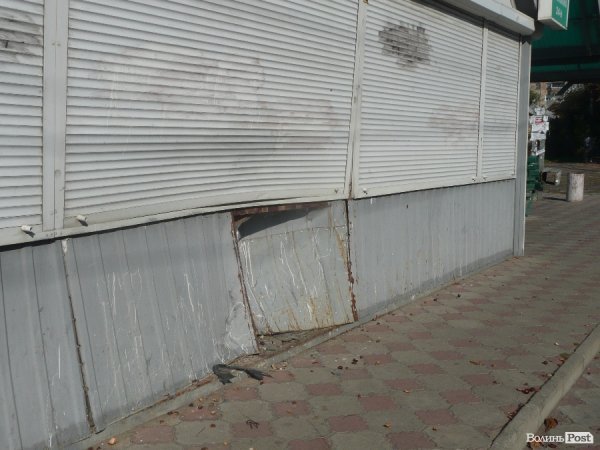 ДТП на Рівненській: автівка в'їхала в магазин. ФОТО