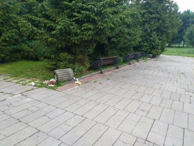 Невідомі повиривали квіти з клумб у луцькому парку. ФОТО