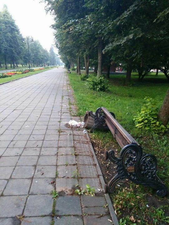 Невідомі повиривали квіти з клумб у луцькому парку. ФОТО