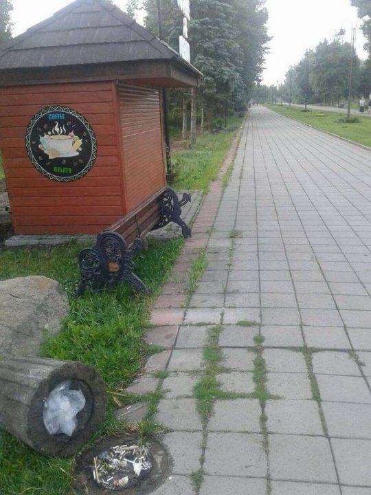 Невідомі повиривали квіти з клумб у луцькому парку. ФОТО