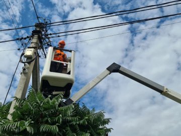 Заплутались у мотузках: у громаді на Волині врятували лелек. ВІДЕО