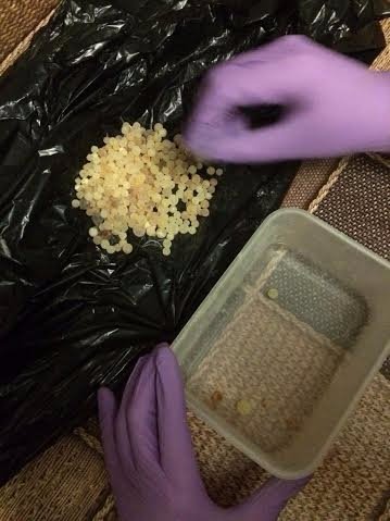 На Волині вилучили бурштину на 1,5 мільйон гривень. ФОТО