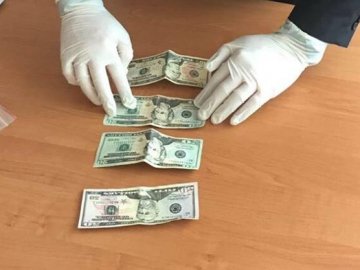 Волинянка хотіла дати хабар прокурору. ФОТО