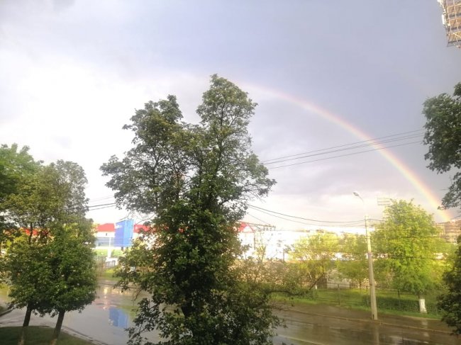 Іванна Рудишин