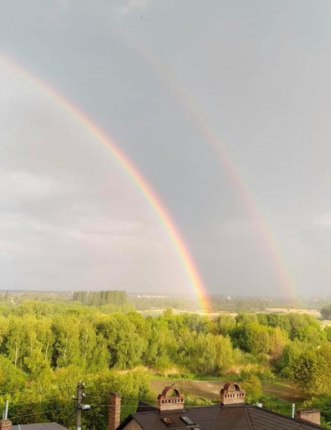 Світлана Кирилова