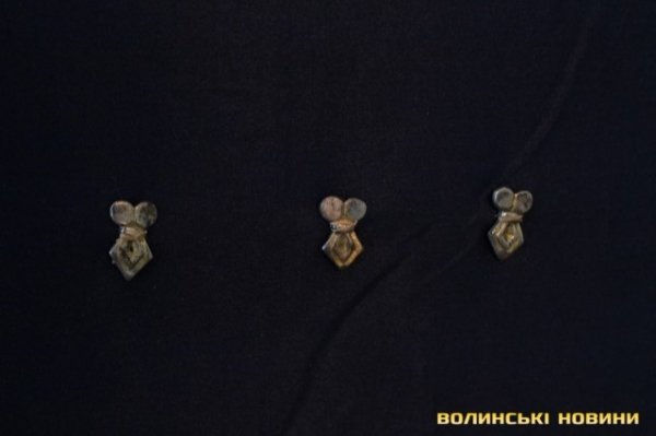 Показали срібний скарб, знайдений під Луцьком. ФОТО