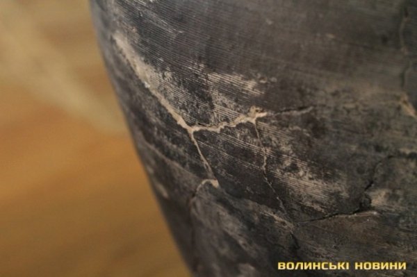 Показали срібний скарб, знайдений під Луцьком. ФОТО