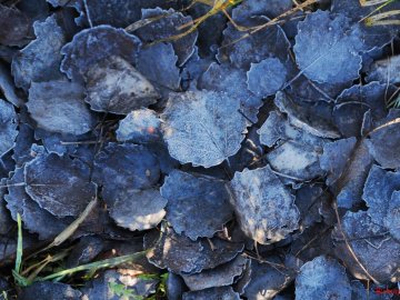 Фотограф поділився світлинами морозного ранку у селі під Луцьком