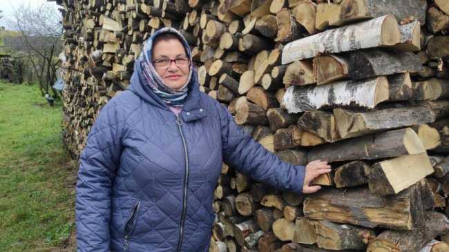 У громаді на Волині всі школи та дитсадки опалюватимуть дровами і торфобрикетом