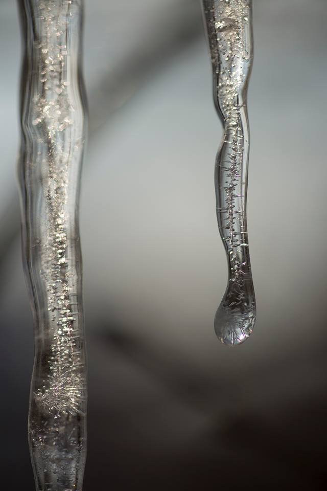 Бурульки і лютневе сонце: фото засніженого парку в Луцьку