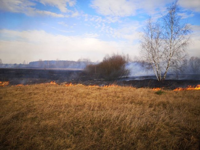 На Волині лісівники гасили підпали сухої трави