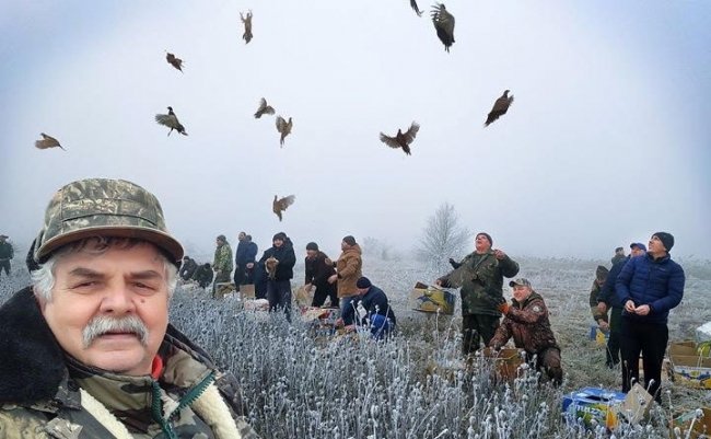 У лісах Камінь-Каширського району поселились 100 фазанів. ФОТО