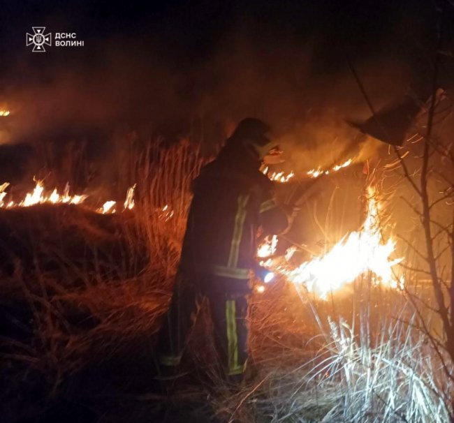 У селі під Луцьком – велика пожежа сухостою