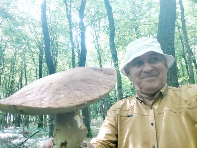 На Волині – у розпалі грибний сезон