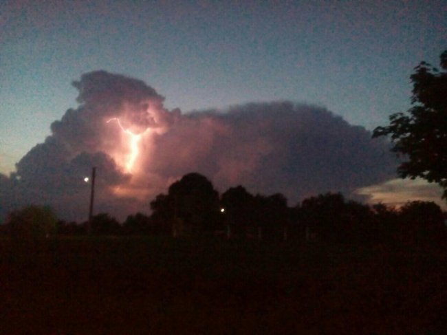 Аліса Яковчук