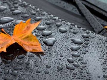 Погода у Луцьку та Волинській області на завтра, 30 вересня