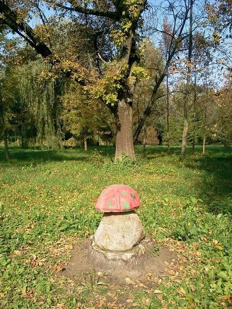 «Бабине літо» в луцькому парку. ФОТО 