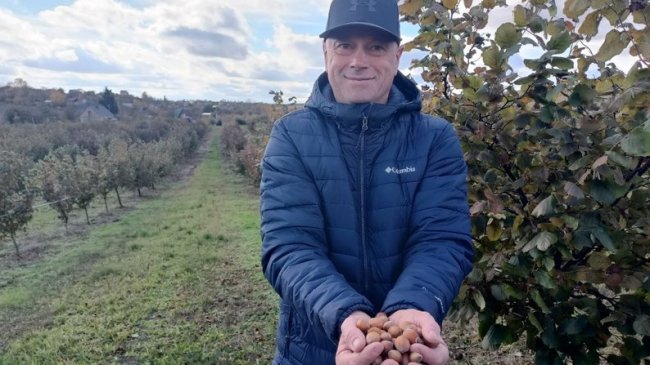 Волинянин отримав від держави 250 тисяч і почав вирощувати фундук. ВІДЕО