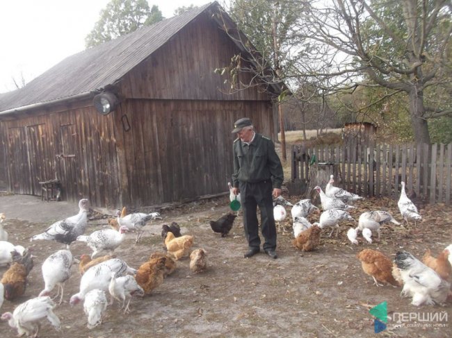 Найстарішому майстру лісу на Волині - 77