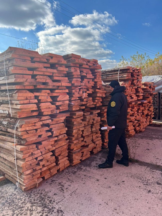 На «Ягодині» затримали недоброчесного підприємця, який хотів незаконно вивезти з України лісоматеріали 