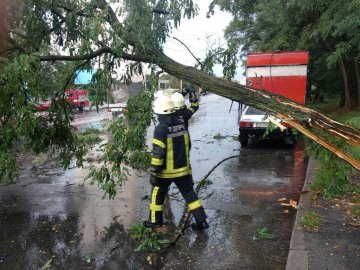 Повалені дерева і залите водою житло: на Волині ліквідовують наслідки стихії 
