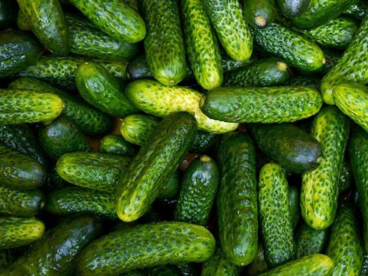 В Україні різко здорожчали огірки: яка причина